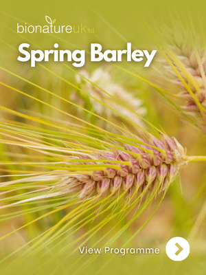 Spring Barley_thumbnail